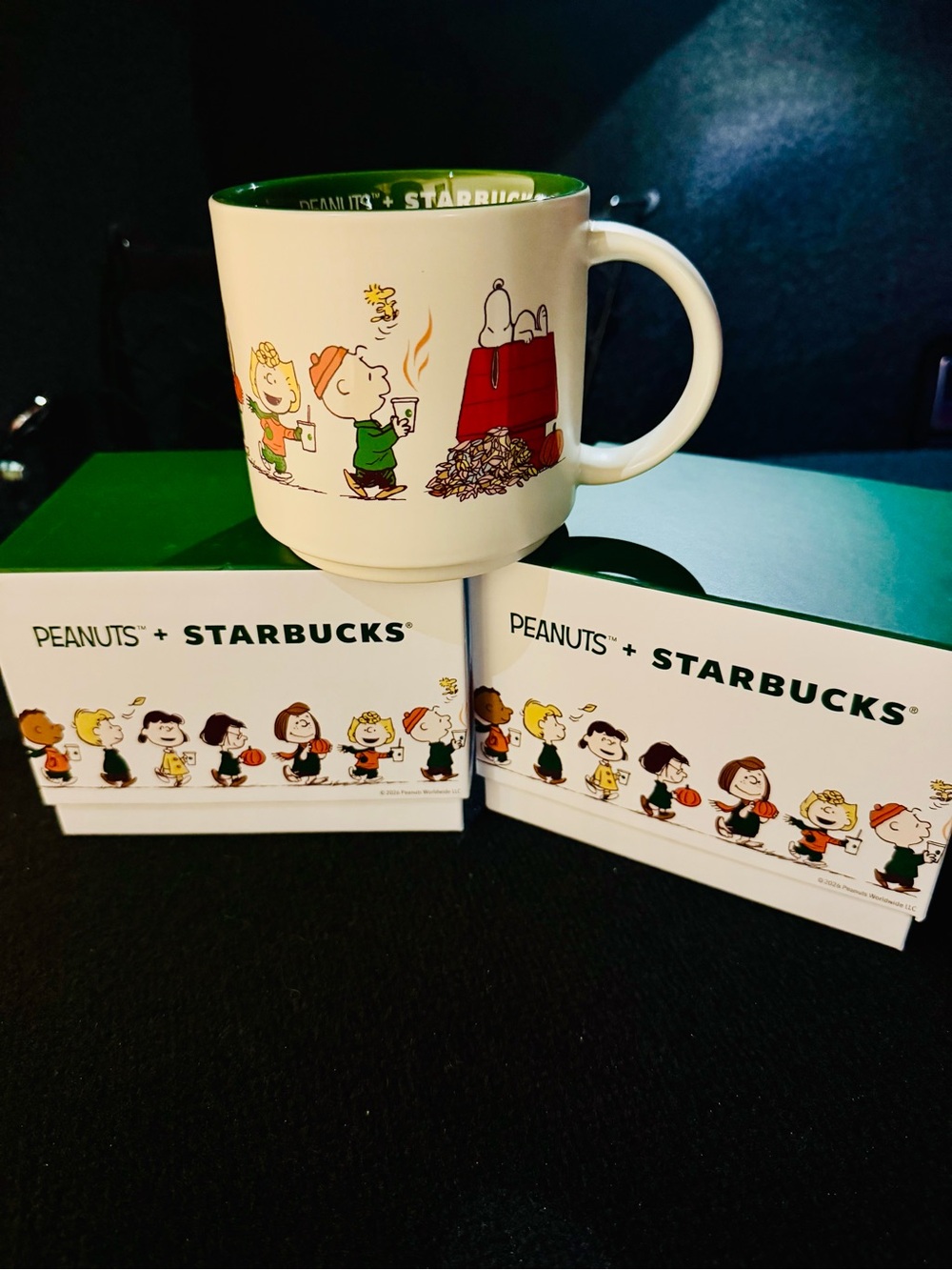 Starbucks x Peanuts Ceramic Mug